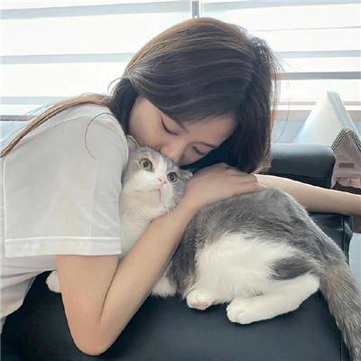 鲜血淋漓第三季
